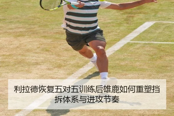 利拉德恢复五对五训练后雄鹿如何重塑挡拆体系与进攻节奏